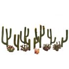 Woodland Scenics 785-3600 Cactus - Woodland Classics(TM) Ready Made Trees(TM), 1/2 to 2-1/2"  1.3 to 6.4cm pkg(13)